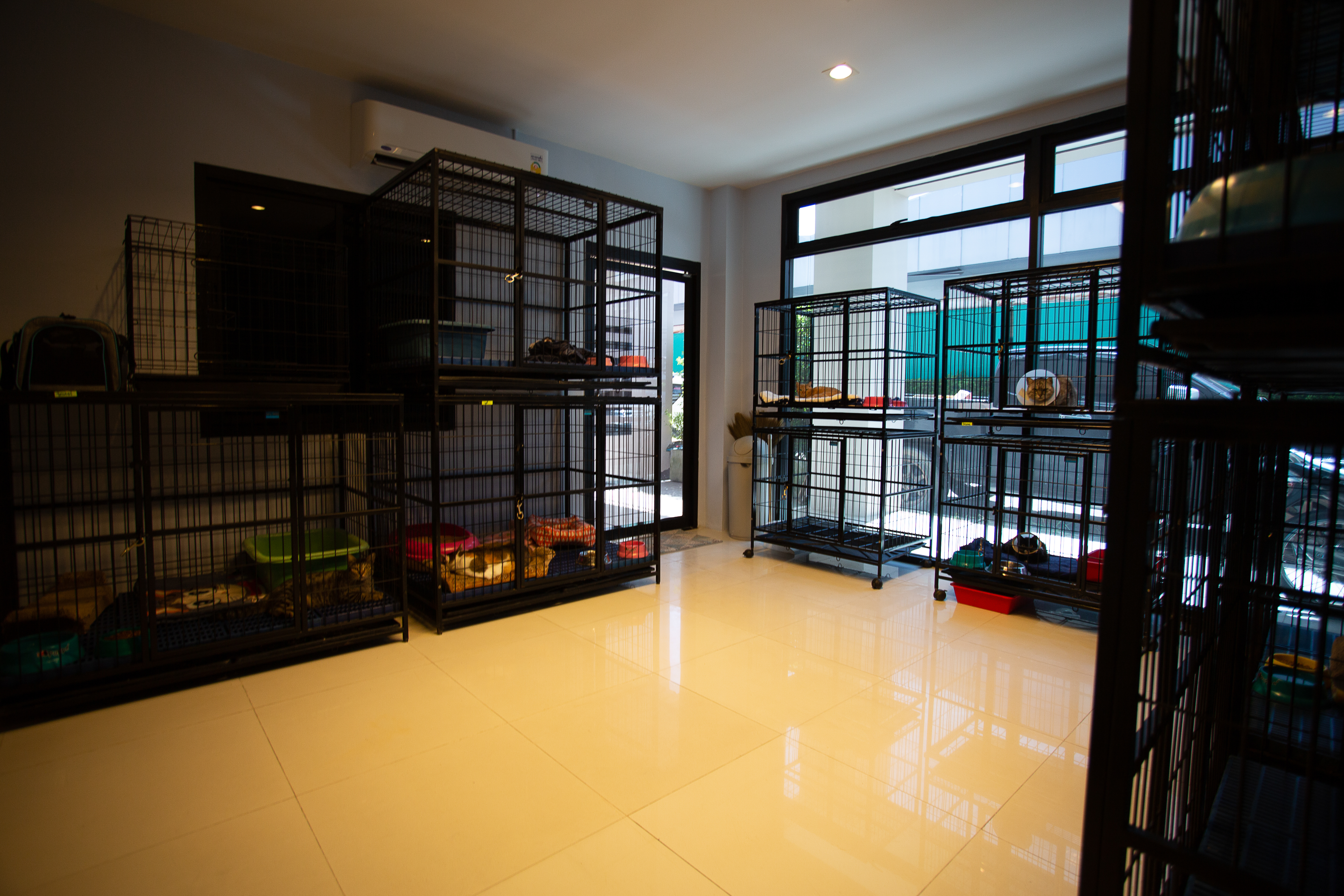 Basic hotel stays for your beloved dogs and cats!