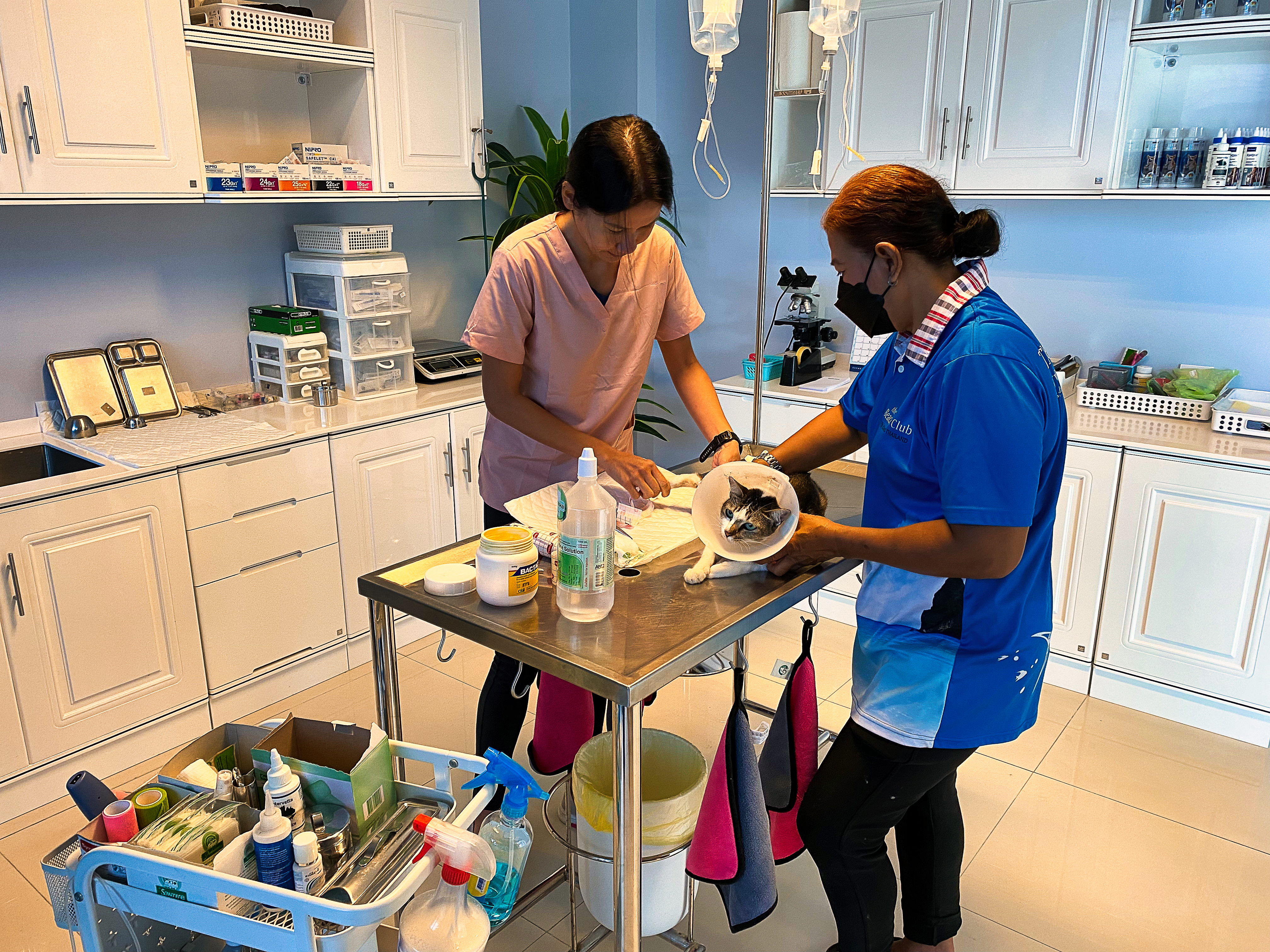 Dedicated to providing the best care for your beloved animals